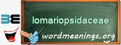 WordMeaning blackboard for lomariopsidaceae